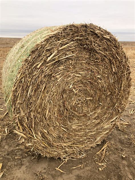 Our HD double feeder is built off the same patten, just stretched to fit 2 bales in one. . Hay for sale in kansas